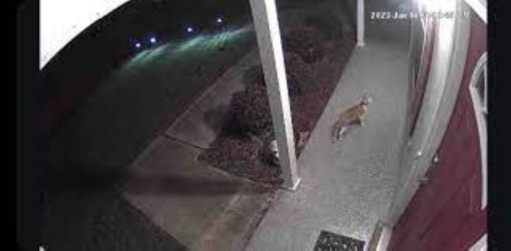 eufy camera video quality