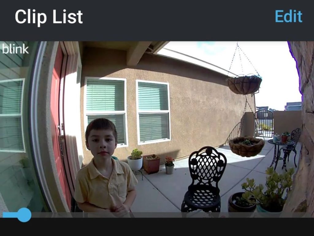live view option on blink