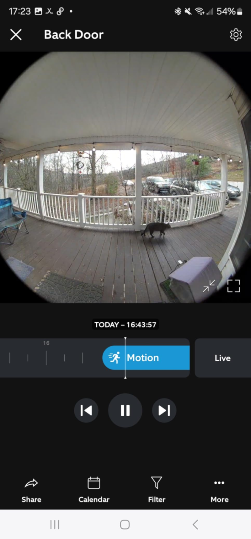 All You Need To Know About Ring Camera Animal Detection