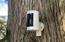 What Is Professional Monitoring On Ring?