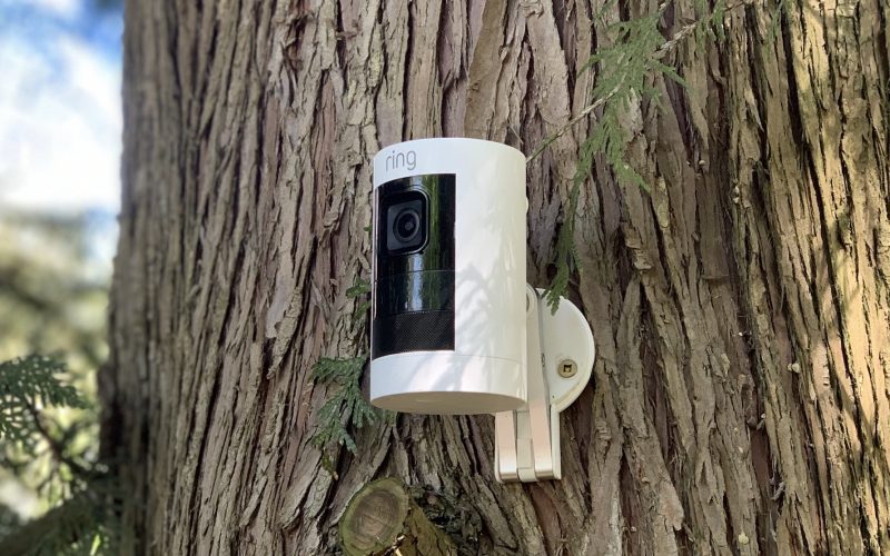 Ring Wildlife Camera: How Well Does It Perform?